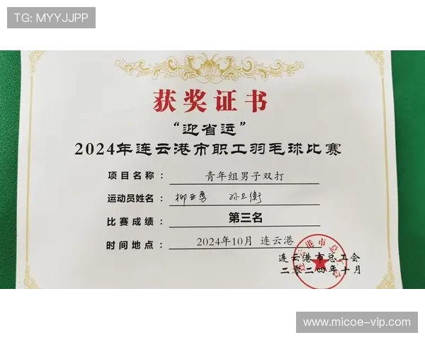 南京羽毛球队与成都羽毛球队赛后复盘速度对比分析与战术探讨