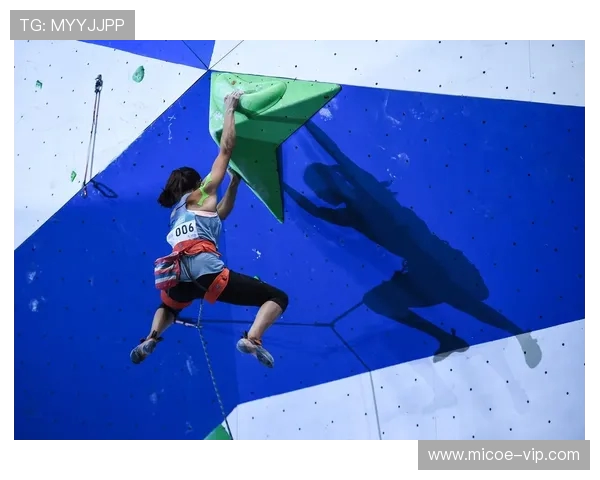 南京街舞队在世界攀岩锦标赛中以67分稳居积分榜首位